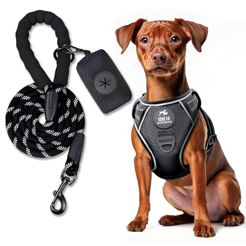 BINOBOO hundegeschirr kleine Hunde, Welpengeschirr, Anti Zug Hundegeschirr, No Pull Verstellbar Hundegeschirr set mit Leine und Kotbeuteln, Atmungsaktives reflektierendes Brustgeschirr, Schwarz S von BINOBOO