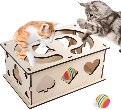 BINYI Interaktives Katzenspielzeug Selbstbeschäftigung Intelligenzspielzeug für Katzen Zubehör Cat Toys Fummelbrett für Katzen Spielzeug Ball Beschäftigung Katze Katzenbeschäftigung Katzenzubehör von BINYI