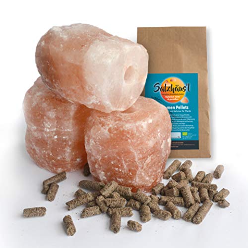 BIOMOND Salzleckstein Kritallsalz 3er-Set (3 x 2 kg) Minerallecksteine mit Kordel & GRATIS Bio-Leinsamen Pellets Leckerli Pferd von BIOMOND