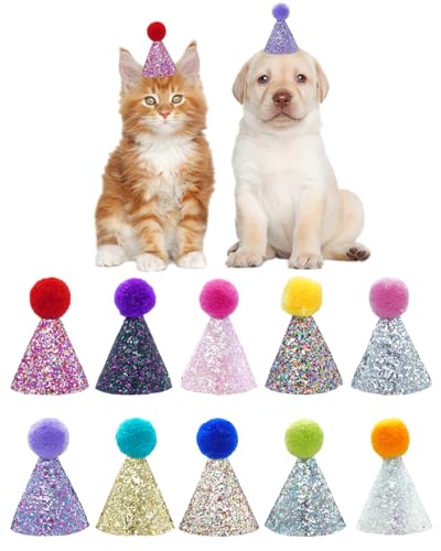 BIPY Mini-Partyhüte für kleine Hunde, für Welpen, Katzen, verstellbares Kopfband, Kätzchen, Urlaubshüte mit Pailletten, Haustierpflege, Kostüm-Zubehör, 10 Stück von BIPY