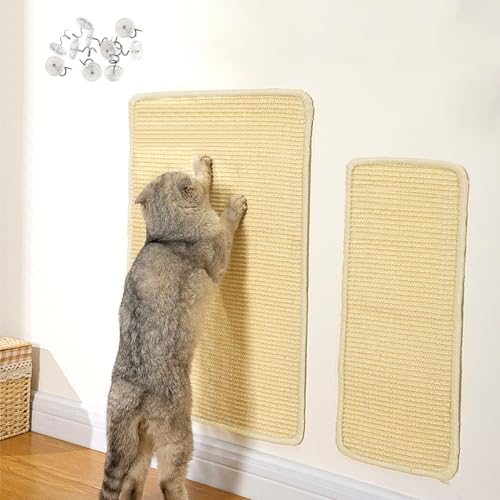 BIQIQI 2 Stück Sisal Katzen Kratzmatte, 60 x 40 cm und 50 x 25cm Kratzmatte, rutschfeste, Robuste Natursisalmatte, Sisal Teppich Katzen, schützt Teppiche und Sofas von BIQIQI