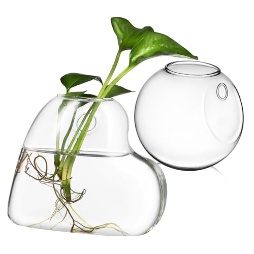 BIUDECO 2 Stück Wandpflanzgefäße Aus Glas Terrarium Für Hydrokultur Pflanzen Modernes Wanddekor Klarer Ausführung Ideal Für Pflanzenhalter Und Kreative Raumgestaltung von BIUDECO