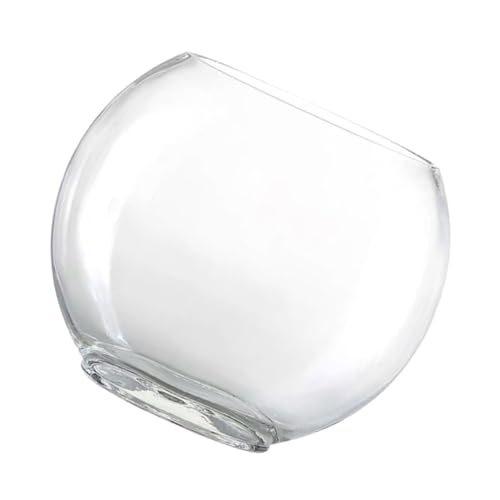 BIUDECO Fischglas Aus Glas Transparenter Blumentopf Für Mikrolandschaften Ökologische Flasche Für Pflanzen Im Aquarium Oder Dekorativer Terrarium Behälter Höhe von BIUDECO