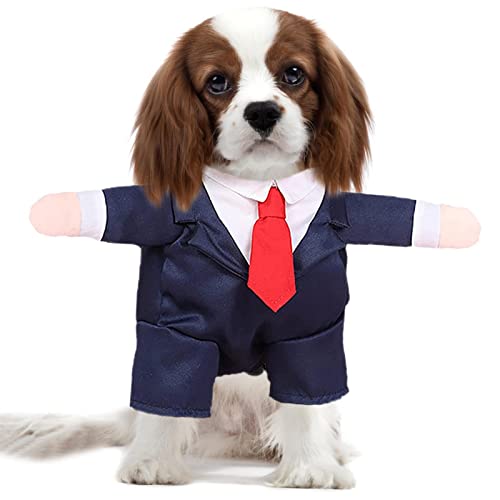 BIUDUI Kleidung für kleine Hunde - Langlebiger Hunde-Smoking-Hochzeitsanzug mit rotem Fliege-Hemd,Hundeformales Hochzeits-Kleidungs-Party-Kleiderbindungs-Shirt für Hunde von BIUDUI