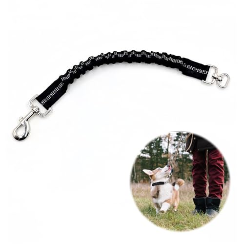 Ruckdämpfer 2.5 * 37cm, Ruckdämpfer für Hunde Leine, Hundeleine, Nylon Leine für Fahrradfahren Mit Mittelgroßen Hunden, Leine Hund Hochwertige Hundekurzleine Mit Stoßdämpfun von BIVOFU