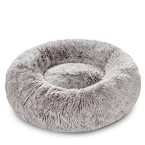 King Hundebett Sofa Korb Hundebetten Spaß Waschbar Abnehmbare Hundehütte Lange Luxe Plüsch Outdoor Großes Haustier Katze Hundebett Warme Matte Sofa-Weiß Braun,S-50CM,Polen von BJBLGMR