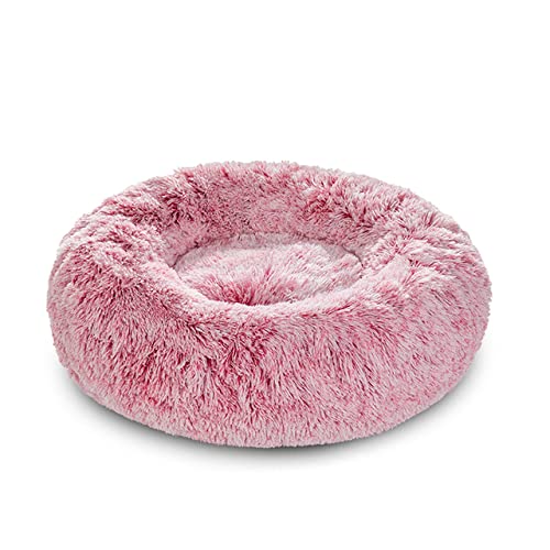 King Hundebett Sofa Korb Hundebetten Spaß Waschbar Abnehmbare Hundehütte Lange Luxe Plüsch Outdoor Großes Haustier Katze Hundebett Warme Matte Sofa-Weiß Rot,XL-80CM,China von BJBLGMR