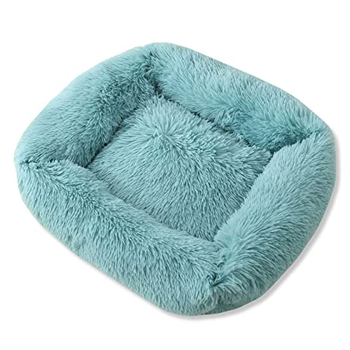 Plüsch Hundebetten Quadrat Super Weiches Hundebett Warme Plüsch Katzenmatte Hundematte Für Kleine Mittelgroße Hunde Welpenbett Haus Nest Kissen-Hellblau,S-55x45x20cm von BJBLGMR