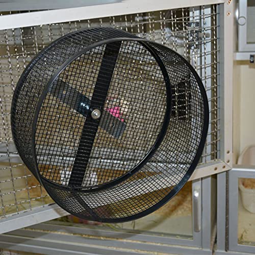 Rennmausrad – Hamsterrad, Meerschweinchen-Rad, großes Igelrad, leises Spinner, Hamster-Laufräder für Hamster, Rennmäuse, Mäuse oder andere Kleintiere von BKMSDK