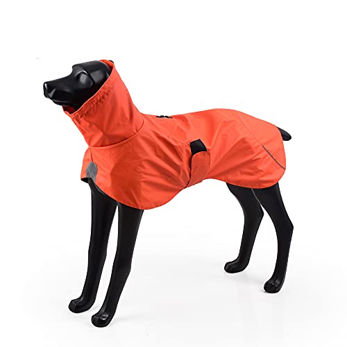 BLACKDOGGY Verstellbarer Regenmantel, wasserdicht, Outdoor-Regenjacke mit reflektierendem Rand (XL, Orange) von BlackDoggy