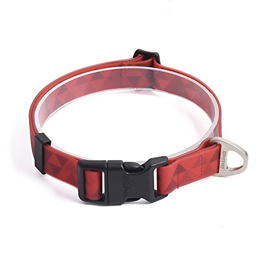 BlackDoggy Hundehalsband, wasserdicht, geruchsfrei, mit robustem D-Ring für kleine Hunde (S, Rot) von BLACKDOGGY