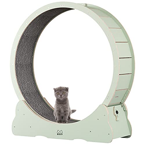 BLANKX Katzenlaufrad für Wohnungskatzen, Leises Kleines Mittelgroßes Laufrad für Katzen, Kleine Lücke Haustier Katze Laufrad Spielzeug mit Bremse,XL-Green von BLANKX