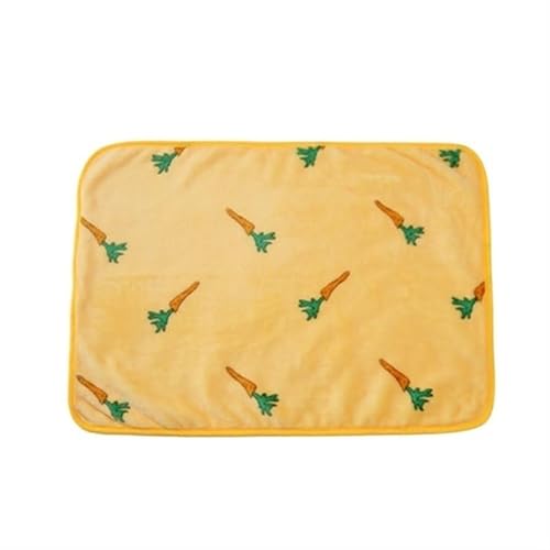 BLBTEDUAMDE Gemütliche Hundedecke: Haustierdecke for mittelgroße Hunde und Katzen, Hundedecken waschbar, weich, fusselfrei(Carrot,for Hamster 25X25cm) von BLBTEDUAMDE