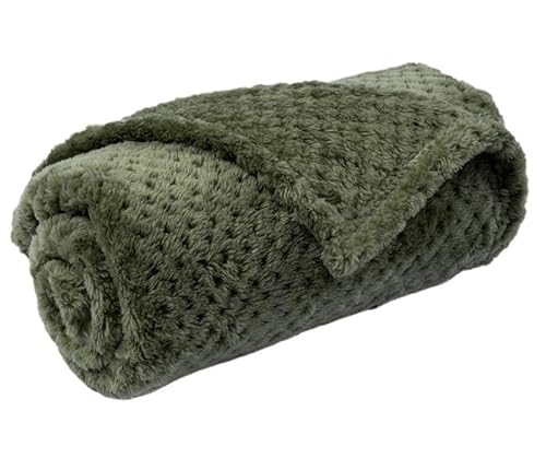 BLBTEDUAMDE Gemütliche Hundedecke: Haustierdecke for mittelgroße Hunde und Katzen, Hundedecken waschbar, weich, fusselfrei(Green,XXL 100x160cm) von BLBTEDUAMDE