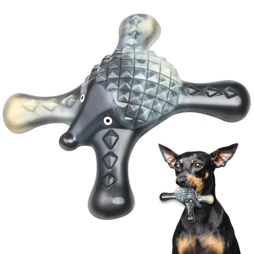 BLESQU Hundespielzeug für aggressive Kauer, Grau von BLESQU