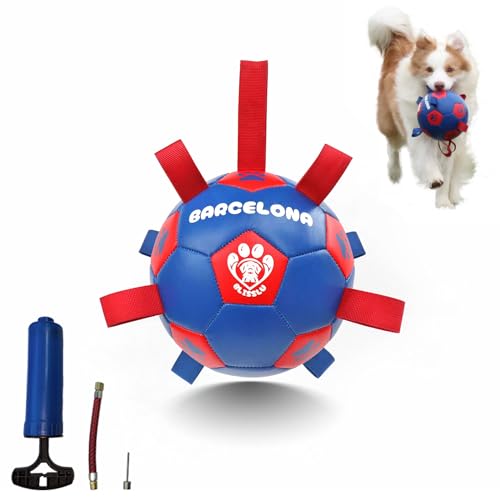 Hundespielzeug, verstärkt, langlebig, Chuck It Balls Kong mit starken Designstreifen, interaktives Haustier-Fußball-Team, Barcelona-Team, Größe L von BLISSLU