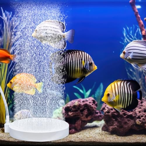 BLLREMIPSUR Aquarium Luftstein Sauerstoff Stein, 100mm Aquarium Sprudler Rund Sauerstoffblasen-Diffusor Luftausströmer mit Saugnapf und Schlauch von BLLREMIPSUR