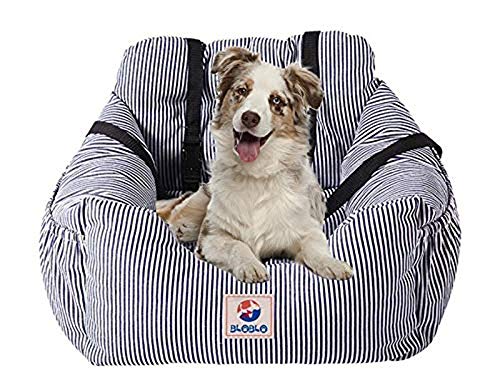BLOBLO Sitzerhöhung für Hunde,für Kleine bis Mittelgroße Hunde mit Einem Gewicht unter 16kg,mit Seitentasche und Hundeleine, Abnehmbarer und Waschbarer Haustier-Sitzbezug,Hunde Auto Reisebett (Blau) von BLOBLO