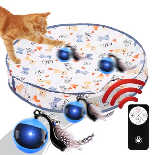 BLOOOK Interaktives Katzenspielzeug Set,mit Elektrisch Katzenball & Spielteppich Katze & Katzenspielzeug Ferngesteuert,Cat Toys for Indoor,Automatisches Katzenspielzeug Selbstbeschäftigung von BLOOOK