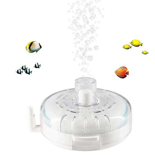 BLOTFISH Aquarium-Filter für kleine Aquarien, Mini-Fischtank für 2–15 Gallonen, Bio-Schwammfilter, ultra-leise, tauchfähige Belüftungsfilter für die Zucht von Frittier-, Betta-Garnelen-Tanks von BLOTFISH