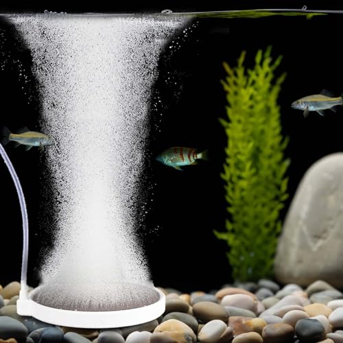 BLOTFISH Luftstein für Aquarien, Nano, leiser Diffusor-Kit für gelösten Sauerstoff (für 20–70 Gallonen) von BLOTFISH