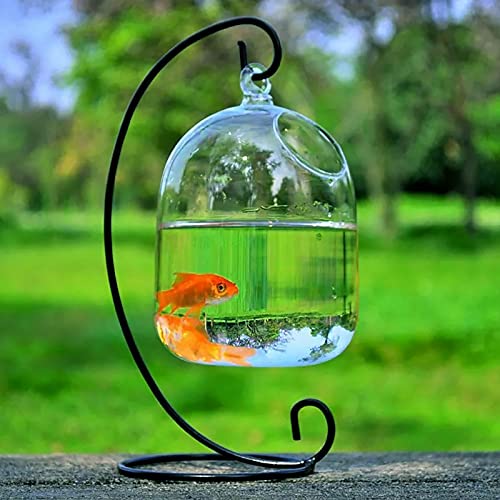 BLSYHDH Aquarium-Pflanzenvase, Schreibtisch-Glas-Hänge-Fischbecken mit Ständer, Fischhaus-Dekoration, Ornament, Hydrokultur-Blumen, Klare Glasvase für Zuhause, Büro, Hochzeit, Floristen(#Black) von BLSYHDH