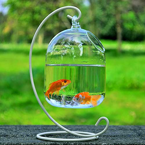 BLSYHDH Aquarium-Pflanzenvase, Schreibtisch-Glas-Hänge-Fischbecken mit Ständer, Fischhaus-Dekoration, Ornament, Hydrokultur-Blumen, Klare Glasvase für Zuhause, Büro, Hochzeit, Floristen(#White) von BLSYHDH