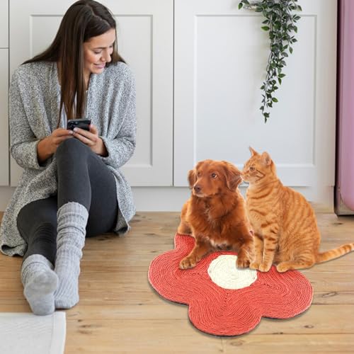 BLSYHDH Katzenkratzmatte, Sisal-Katzenkratzer für Hauskatzen, Bequeme Katzenkratzpads, Nester, Katzenkratz-Kratzpad-Schüssel für Katzenkätzchen, Vergnügungsruhe, Krallensicherheit,(Rot) von BLSYHDH