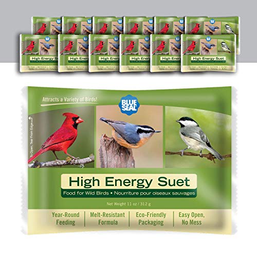 Blue Seal Hohe Energie-Talgkuchen für Wildvögel, kein Durcheinander, Talgfutter, Futter für Specht, Kardinale, Siskins, Spatzen und mehr – 325 ml Talgfutterspender, Vogelsamenkuchen (12 Stück) von BLUE SEAL