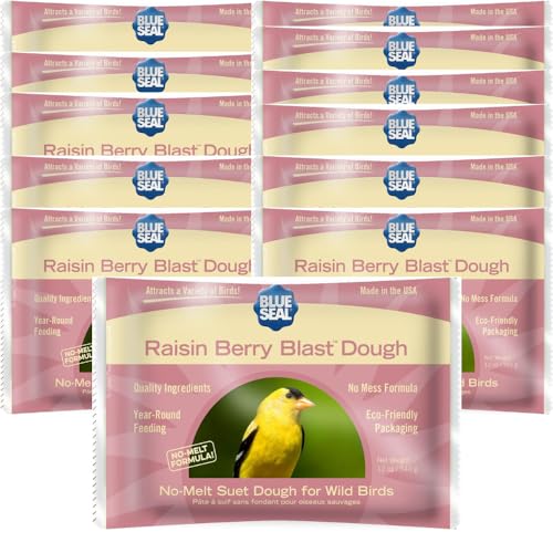 Blue Seal Raisin Berry Blast Talgteig-Kuchen für Wildvögel, kein Chaos, Futter für Spechte, Kardinäle, Siskins, Spatzen und mehr, 340 ml, Vogelsamenkuchen (12 Stück) von BLUE SEAL