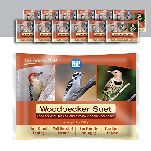 Blue Seal Specht Talgkuchen für Wildvögel – kein Durcheinander Talgfutter, Futter für Specht, Kardinale, Siskins, Spatzen und mehr – 325 ml Talgfutterstation, Vogelsamenkuchen (12 Stück) von BLUE SEAL