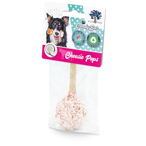 BLUE TREE Cheesie Pops Kokos 45 g von BLUE TREE