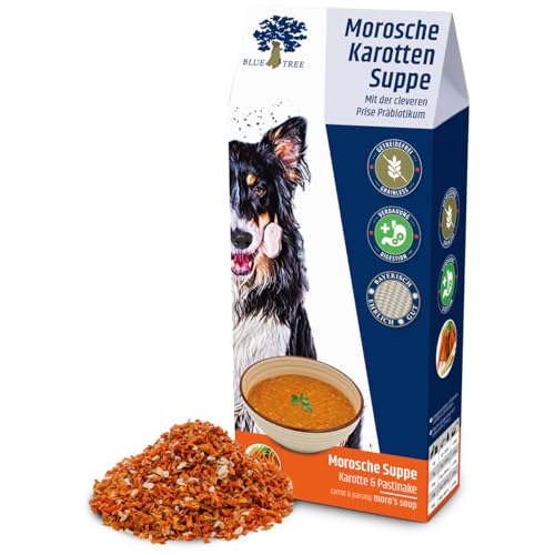 BLUE TREE Morosche Karottensuppe 400g von BLUE TREE