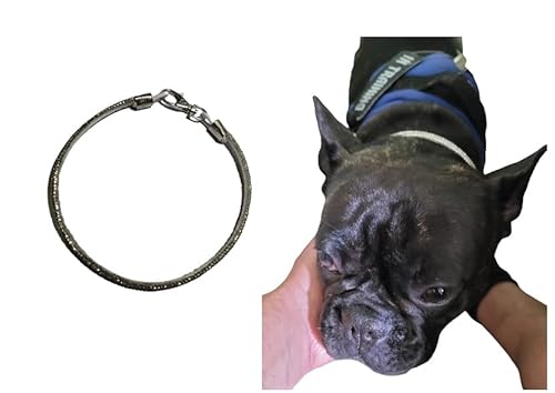 Elegantes Strasshalsband 5 mm ca. 25 cm lang oder andere Größe für Hunde, Erdmännchen oder andere Welpen, nur für Schönheit keine Leine anbringen von BLUSUPERSHOP