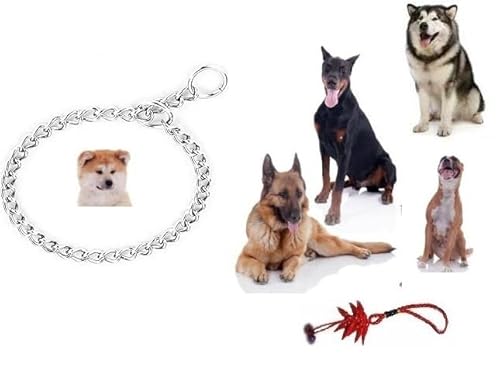 Halsband, nicht aus Metall, für Hunde, strapazierfähig, für alle kleinen, mittelgroßen Rassen, für Training, um nicht zu ziehen (M L55 cm SP3,5 mm) von BLUSUPERSHOP
