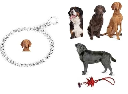 Halsband, nicht aus Metall, für Hunde, strapazierfähig, für alle kleinen, mittelgroßen Rassen, für Training, um nicht zu ziehen (S L 50 cm SP3 mm) von BLUSUPERSHOP