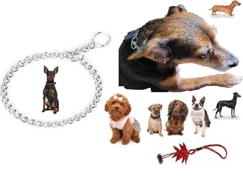 Halsband, nicht aus Metall, für Hunde, strapazierfähig, für alle kleinen, mittelgroßen Rassen, für Training, um nicht zu ziehen (XXS L 35 cm SP2 mm) von BLUSUPERSHOP