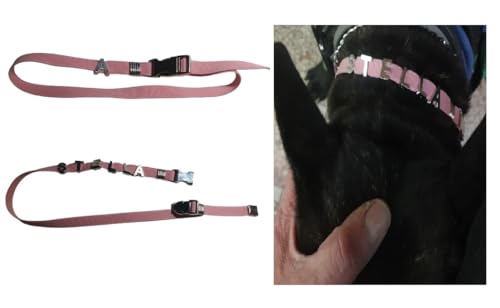 Nur 1 elastisches Halsband verstellbar 15 20 30 40 50 cm Höhe 10 mm für Bruststück 1 Anfangsbuchstabe oder mit ganzen Namen maximal 7 Buchstaben. Name Hunde Katzen Typ Französisch Bulldog von BLUSUPERSHOP