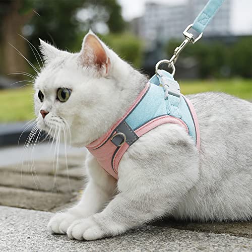 Luminous Cat Vest Harness and Leash Set, Luminous Escape-Proof Cat Vest - Harness and Leash Set (Powder-Blue,M(5-8 kg)) von BMOM