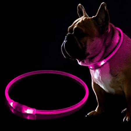 LED Hundehalsband, USB Wiederaufladbares Blinkhalsband für die Sicherheit bei Nacht, Verstellbares, Wasserdichtes, Hell Beleuchtetes Halsband für Hunde - Eine Grösse passt Allen, Rosa von BNGGOGO