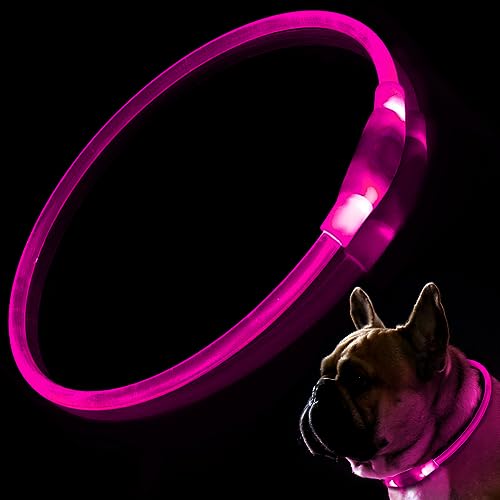 BNGGOGO LED-Hundehalsband, wiederaufladbar über USB, blinkendes Leuchthalsband für Sicherheit bei Nacht, verstellbar, wasserabweisend, hell beleuchtetes Halsband für Hunde – Einheitsgröße von BNGGOGO