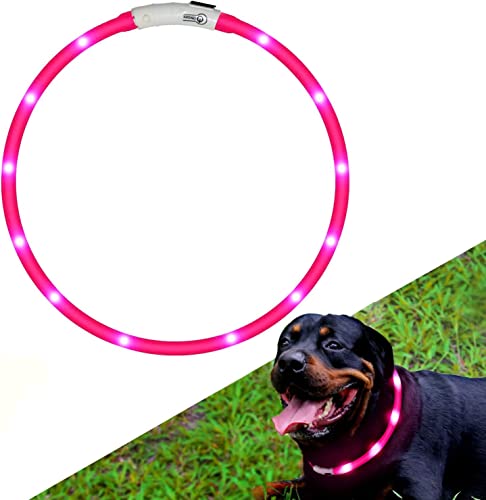 Hunde Leuchthalsband LED Halsband Hundehalsband Hunde, individuell kürzbar, USB aufladbar, Kabel im Lieferumfang enthalten von BNGGOGO