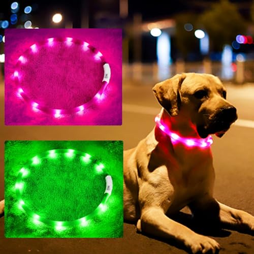 LED-Hundehalsband, wiederaufladbar, beleuchtet, für nächtliche Spaziergänge, verbesserte Sicherheit und Sichtbarkeit bei Nacht, 3 Blinkmodi, beleuchtetes Halsband passend für kleine, mittelgroße und von BNGGOGO