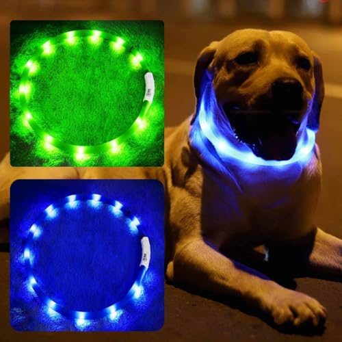 LED-Hundehalsband, wiederaufladbar, beleuchtet, für nächtliche Spaziergänge, verbesserte Sicherheit und Sichtbarkeit bei Nacht, 3 Blinkmodi, beleuchtetes Halsband passend für kleine, mittelgroße und von BNGGOGO