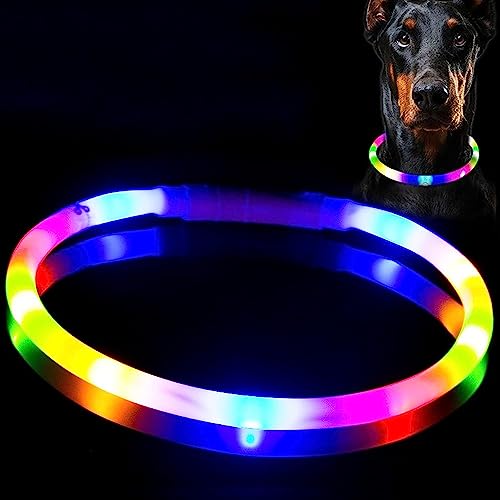 Wiederaufladbares LED-Hundehalsband, wiederaufladbar, leuchtendes Halsband, verbesserte Sicherheit und Sichtbarkeit bei Nacht, 3 Blinkmodi, wasserabweisend, beleuchtetes Halsband, passend für kleine, von BNGGOGO