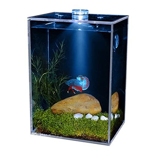 Transparenter Blasenblumentopf Kleine super transparente und klare Fischschüsselquadrat Containerfischtank (Color : Blue Lighting, Size : S) von BNNP