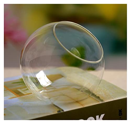 Transparenter Blasenblumentopf Kreatives raffiniertes und ästhetisches abgeschrubes Glas Kleiner Fischtank rund Vase Fashion Home Decors Handwerk Containerfischtank von BNNP