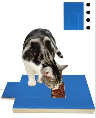 BNOSDM Katzennagelfeile Kratzbrett mit Leckerli-Box, Katzen Kratzpad mit austauschbarem Schleifpapier, Kitty Scratcher File Wooden Kitten Claw Scratch Maniküre für Kätzchen Kleine Hunde Blau von BNOSDM