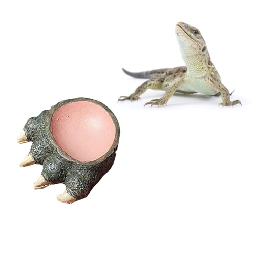 BNOSDM Reptilienfutter Wassernapf Eidechsen Futterschale Reptilien Tank Zubehör für Chamäleon Leopard Gecko Frosch Bartagamen Schlange Einsiedlerkrebse Schildkröte Spinne (L) von BNOSDM