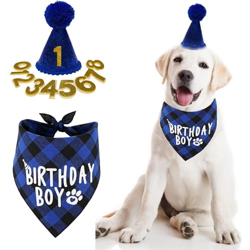 3 Stücke Hund Geburtstag Bandana Set mit 8 Bling Nummern Hunde-Geburtstagsparty-Zubehör Hunde Geburtstags Bandana Mütze Hund Geburtstag Party Set Hundegeburtstagsparty für Welpenkatzenhaustie (Blau) von BNOYONERAS